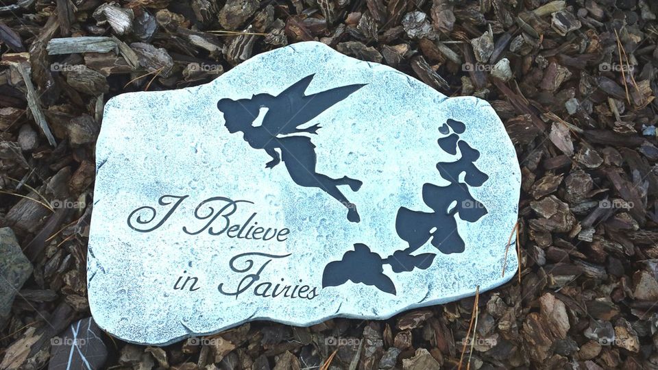 I believe in Fairies