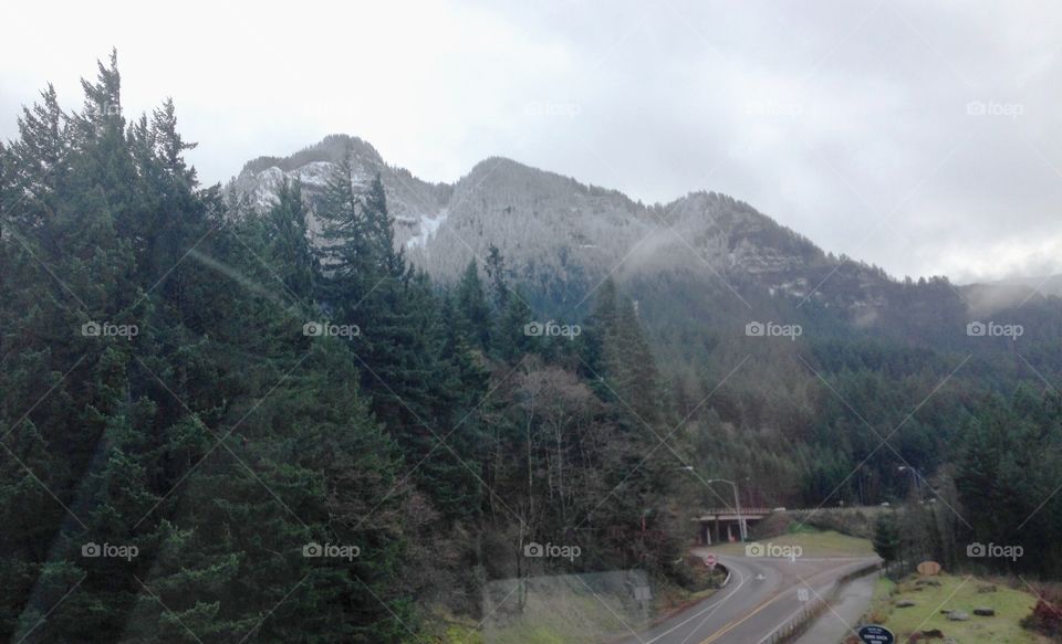 Scenic view of trees and mountain in winter