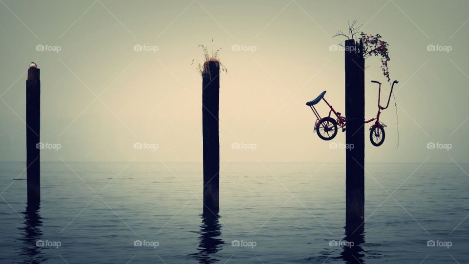 An artful bike installation is enrobed in fog on the Puget Sound near Tacoma, Washington. A seagull rests in the background