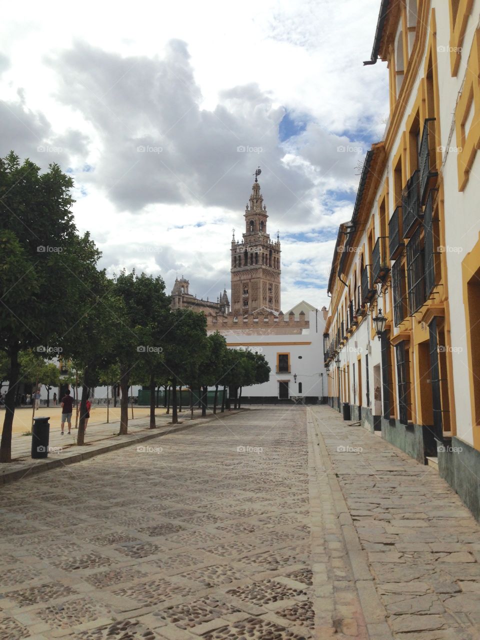 The bell tower of Seville Cathedral as seen from nearby Patio de Banderas