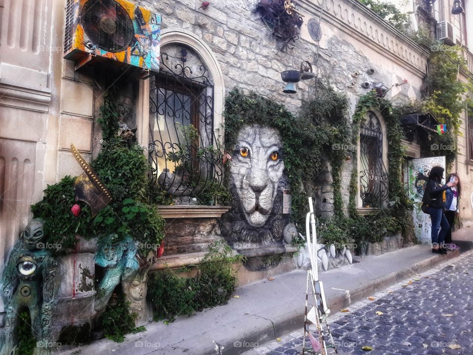 Outdoor green house building plant