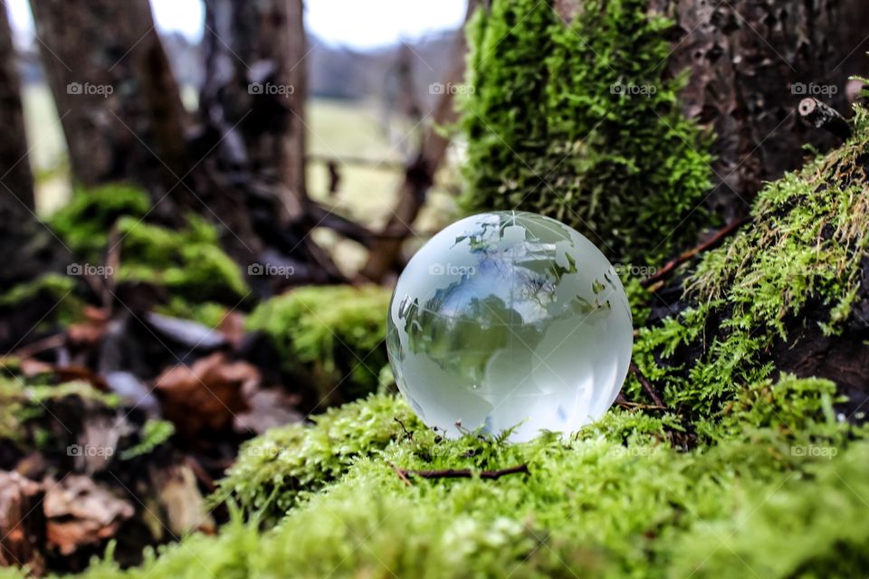 Close-up of paper weight on moss