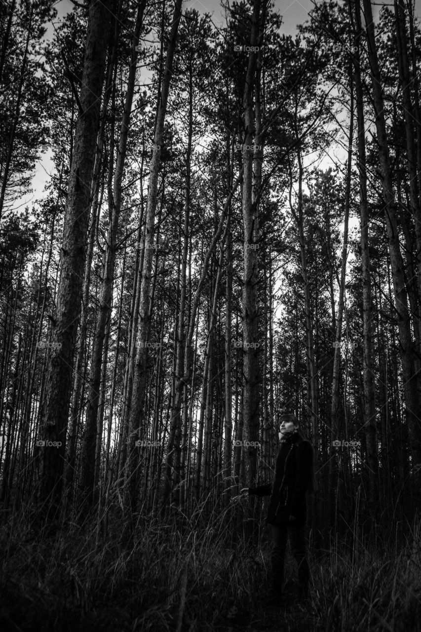in the forest. Black and white.