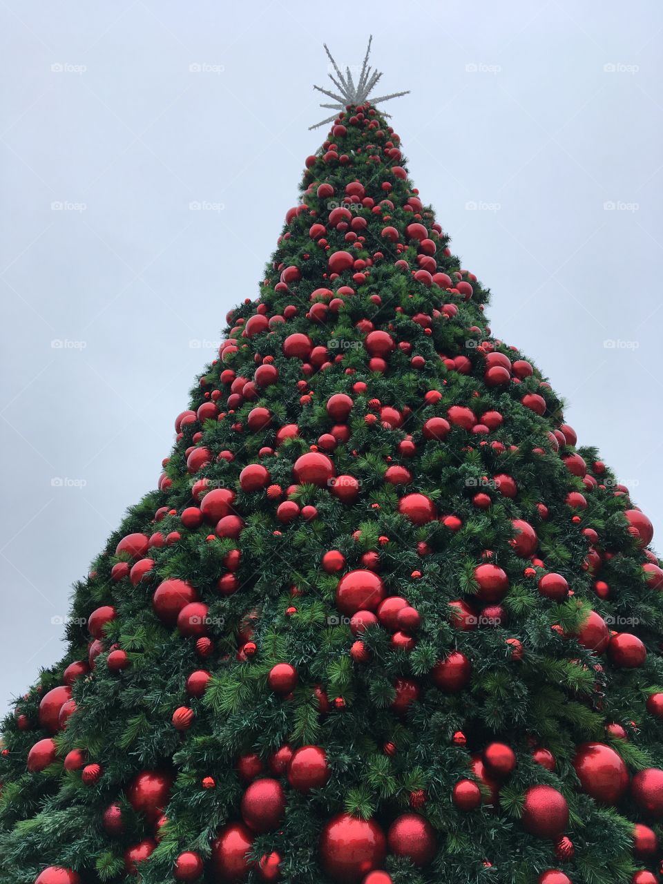 Pretty Christmas tree