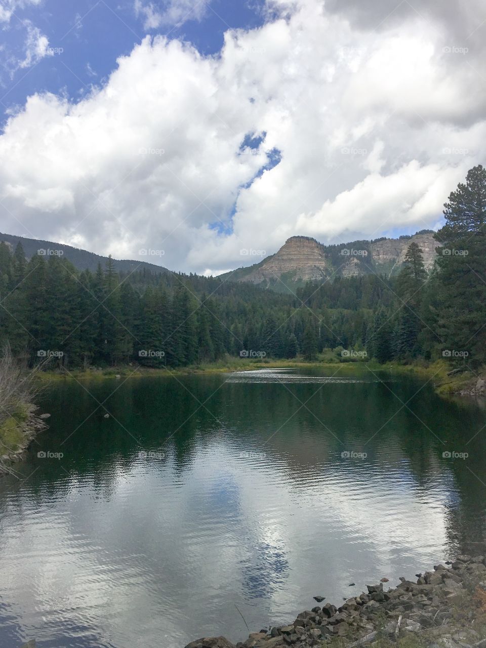 Lake reflection 