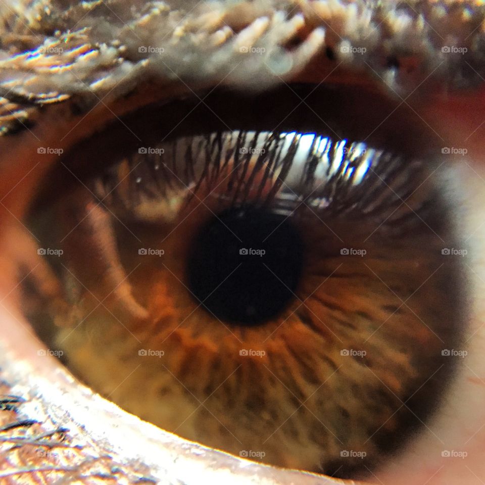 Eyeball. My eye 
