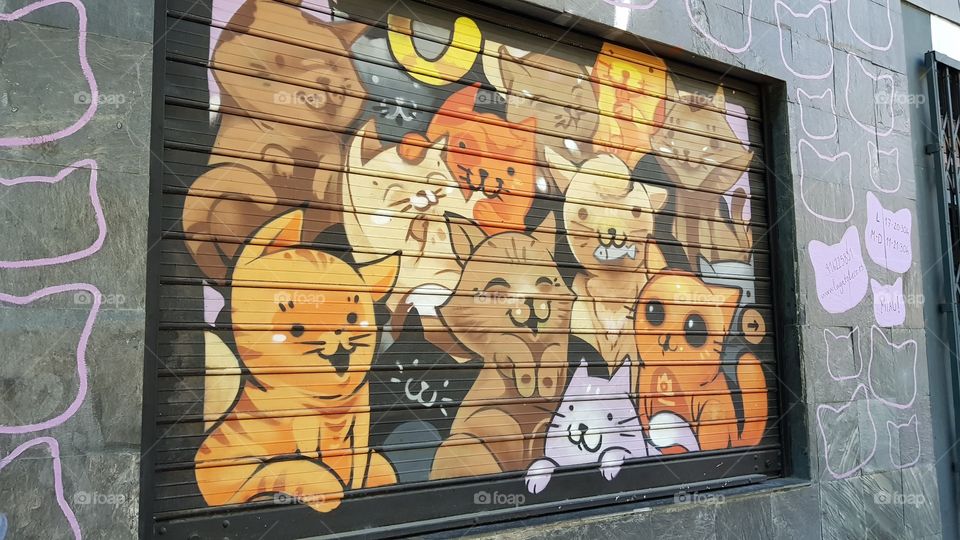 street graffiti of cats in Madrid