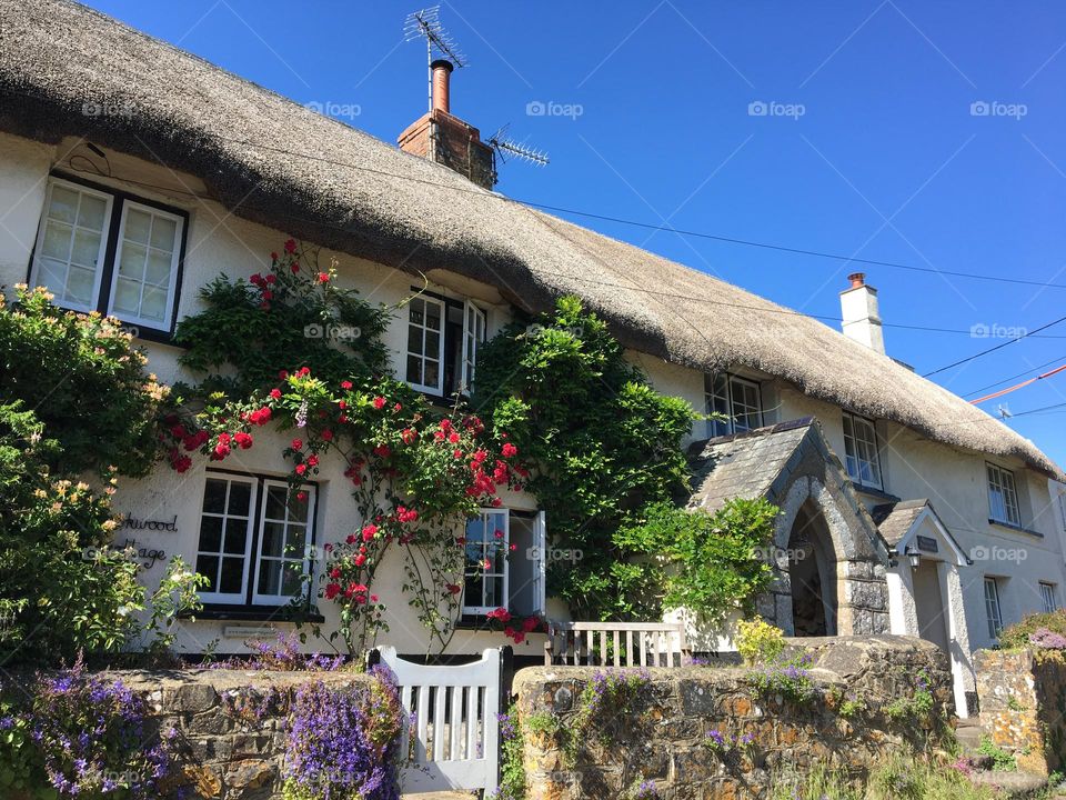 A beautiful Summers day in Devon 🌸🌼🌹