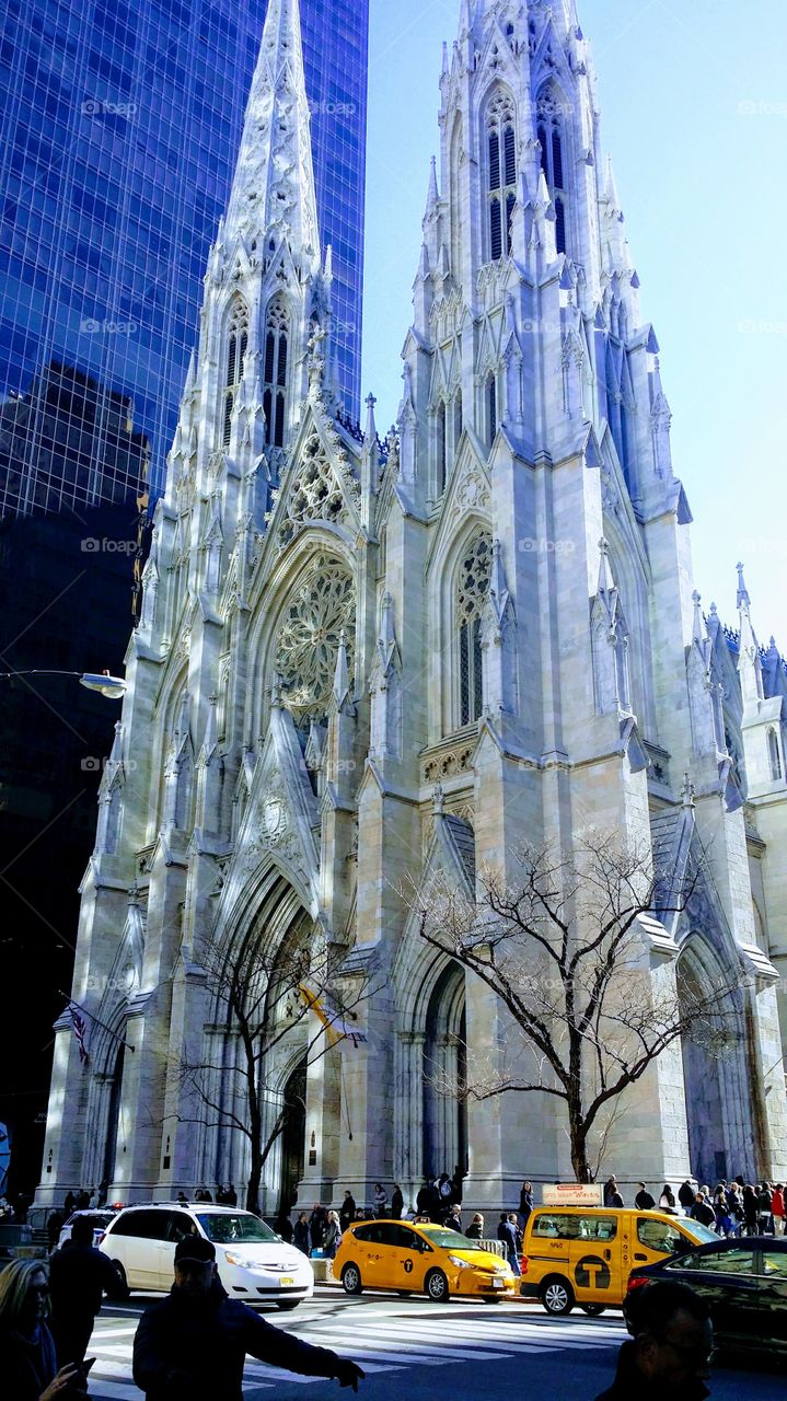 St. Patrick's  Cathedral