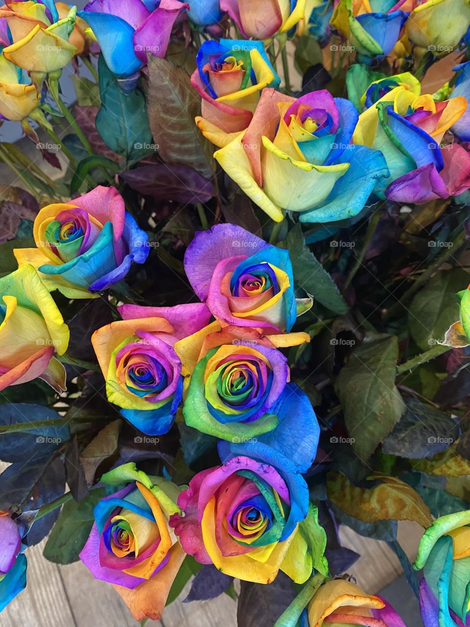 Rainbow roses