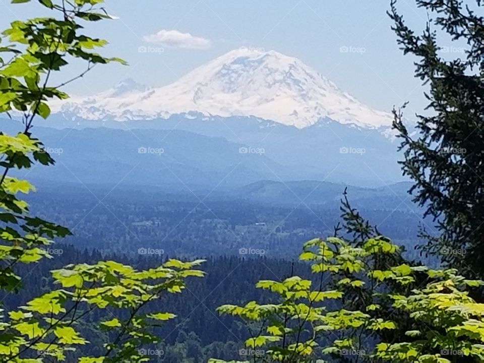 Mount Ranier Washington