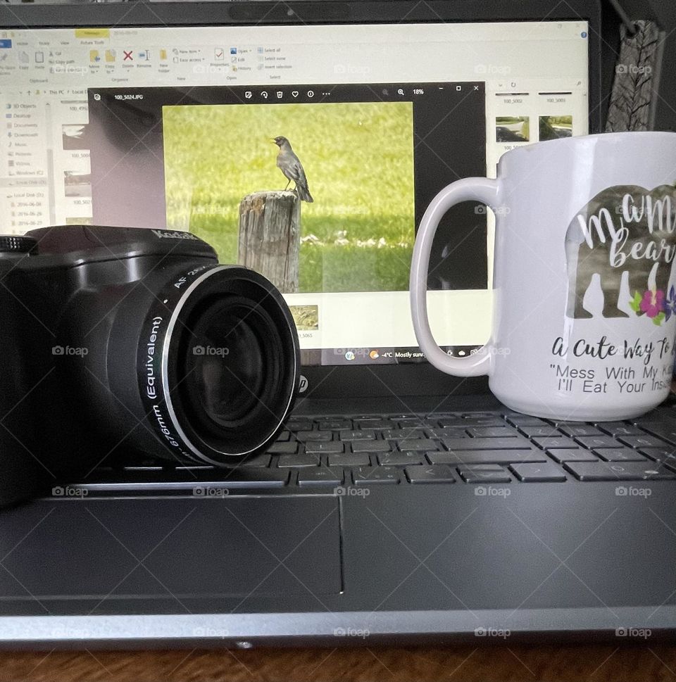 This is me,captured in this one picture are all my favourite things;coffee in my favourite ‘Mama bear’ mug,my favourite camera Kodak zoom 26x easy share,my HP laptop,looking at my pictures(this one of a robin) of mostly birds,grkids,and landscapes