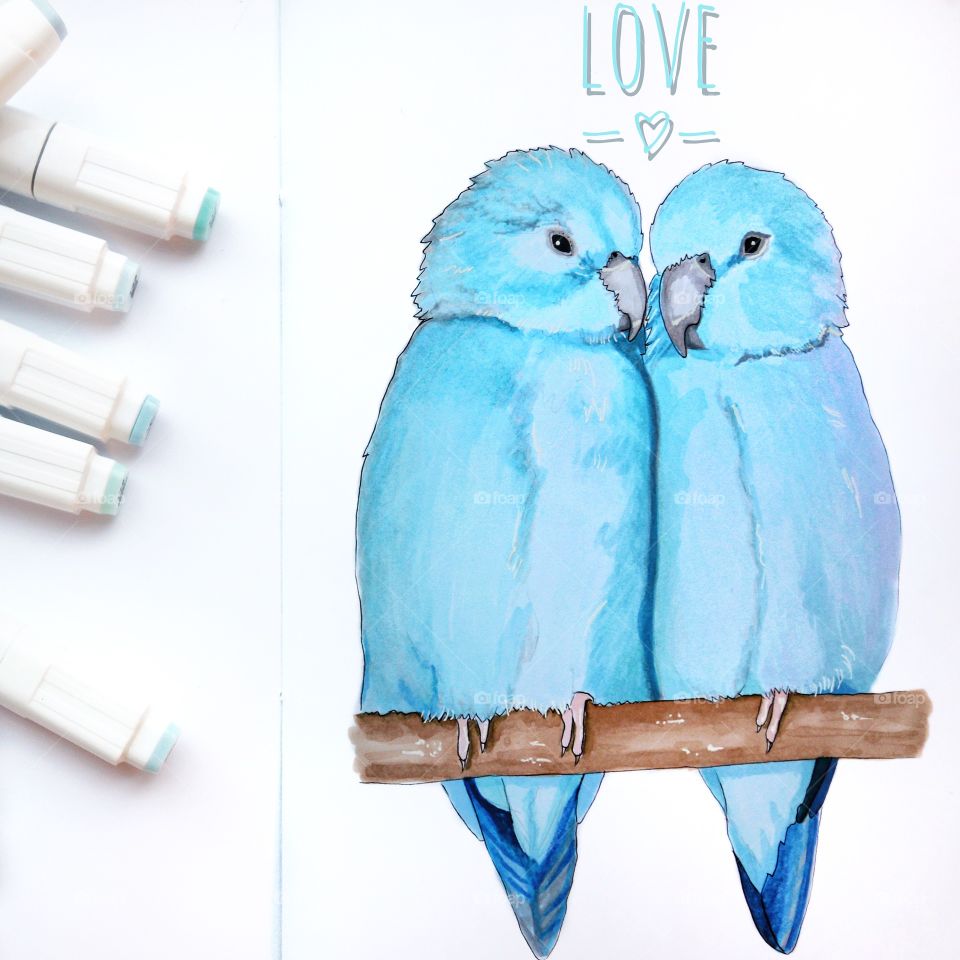 A pair of blue parrots drawn by markers