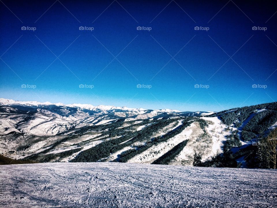 Snowy landscape during winter