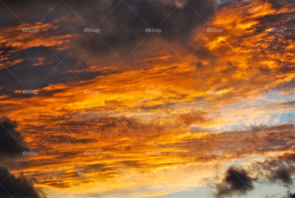 Orange Clouds