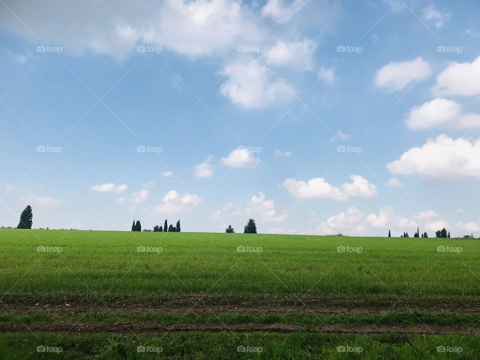 Beautiful field in my country .