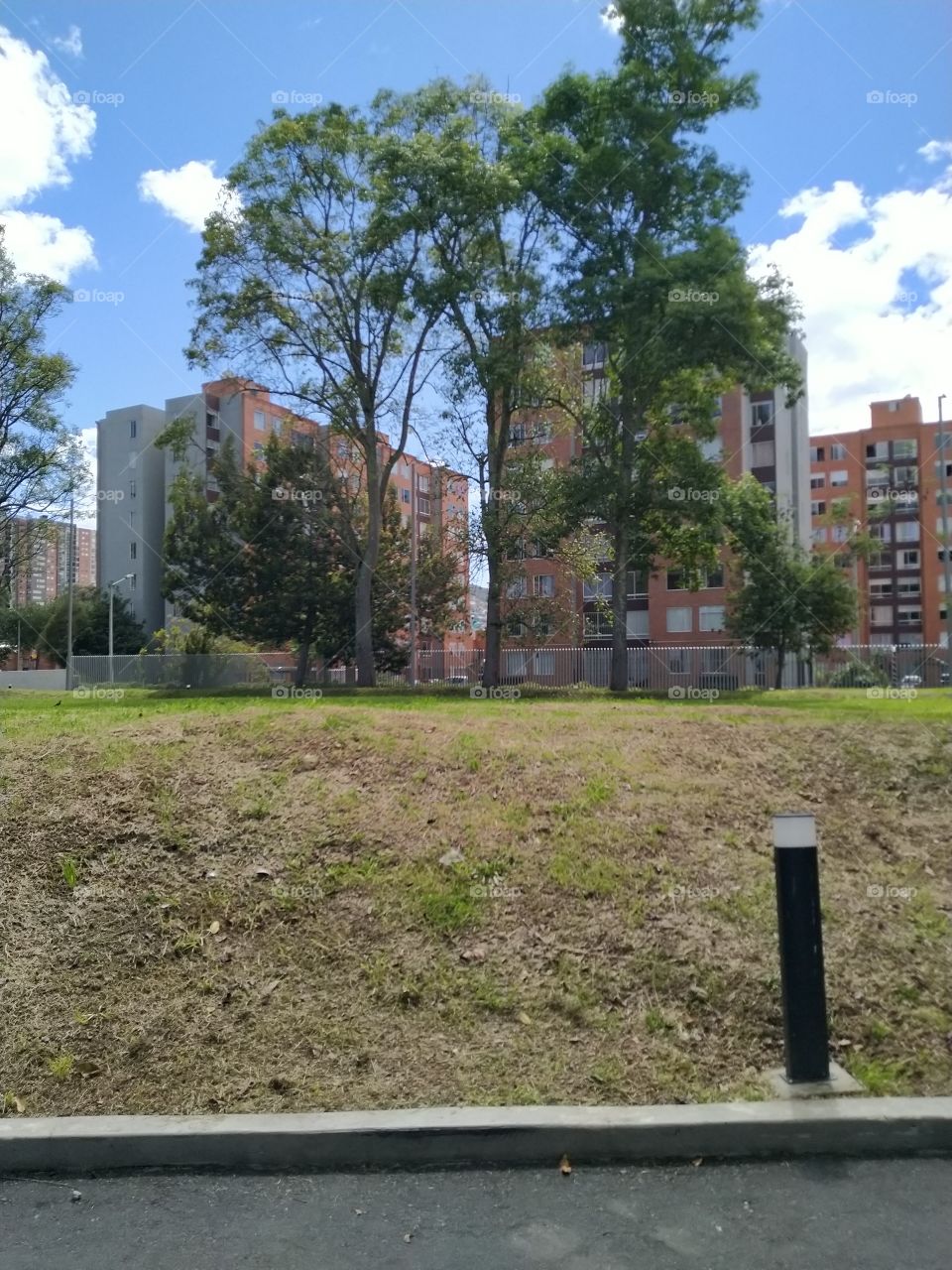 Edificios y Árboles