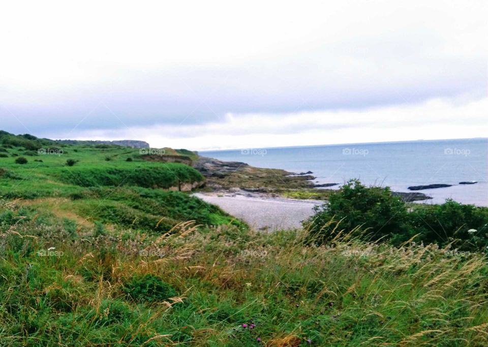 Anglesey Coast.