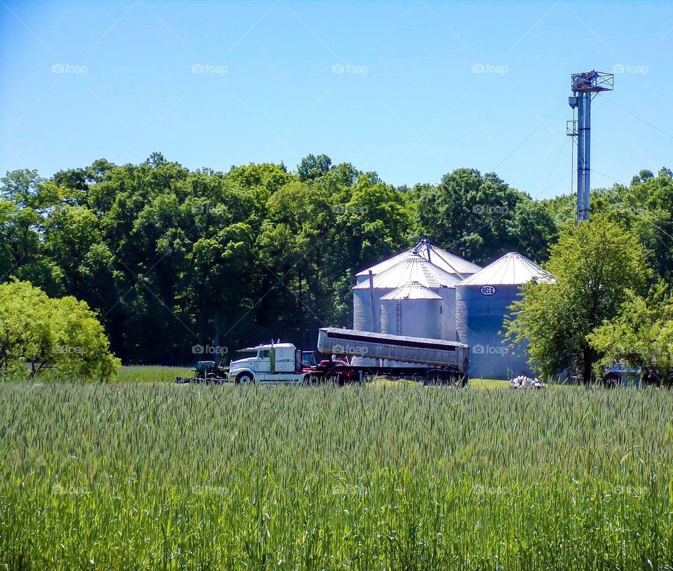 Farm silos in green field