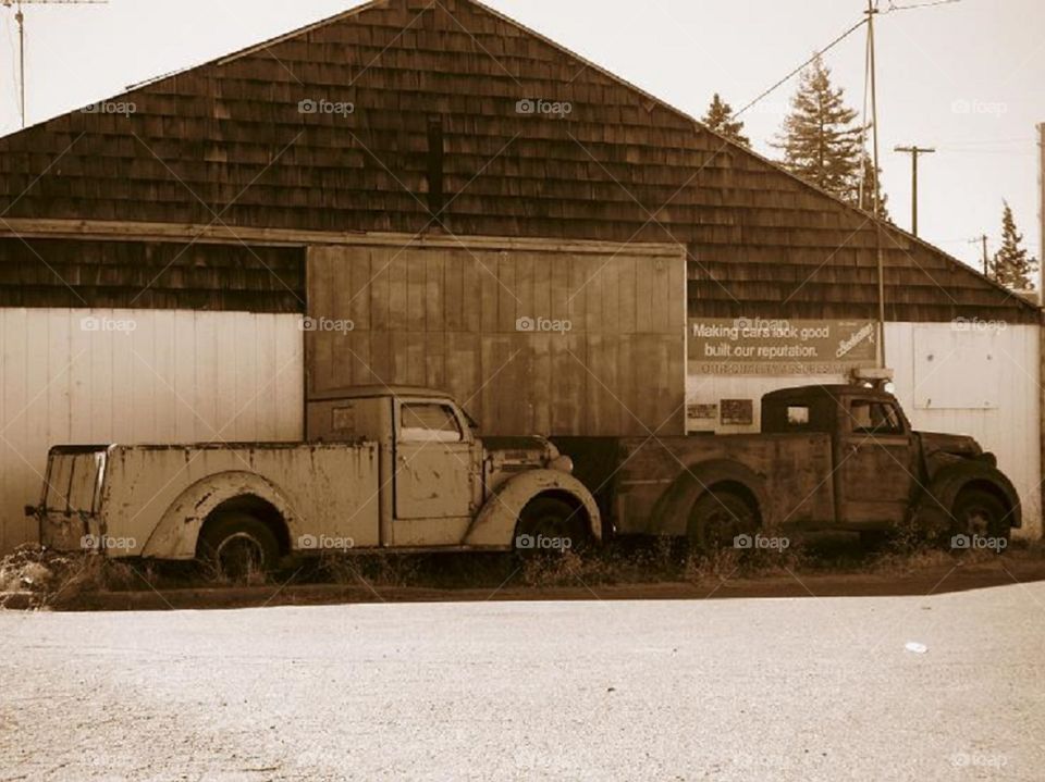 Diamonds in the rough