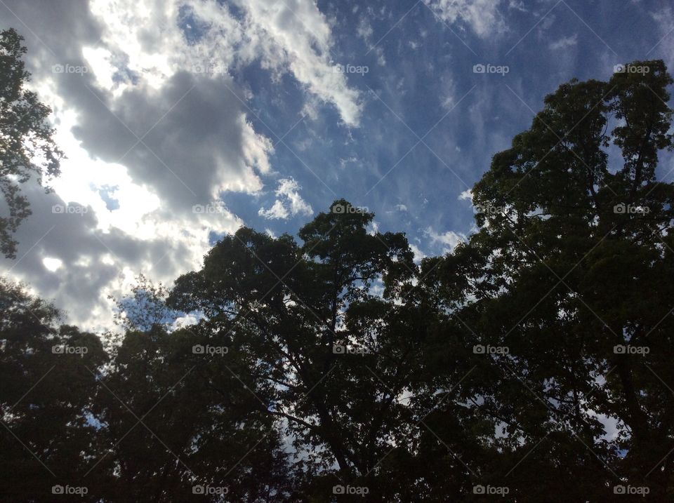 It's 5pm somewhere. Early evening sky in SC