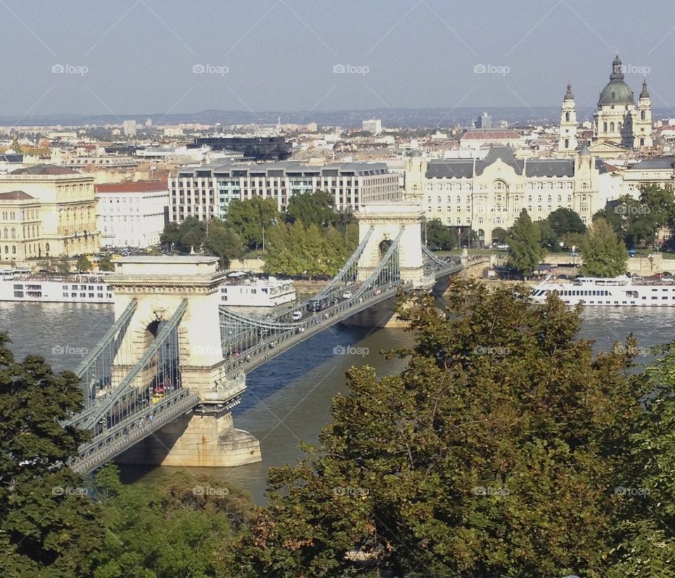 Lion bridge Budapest 