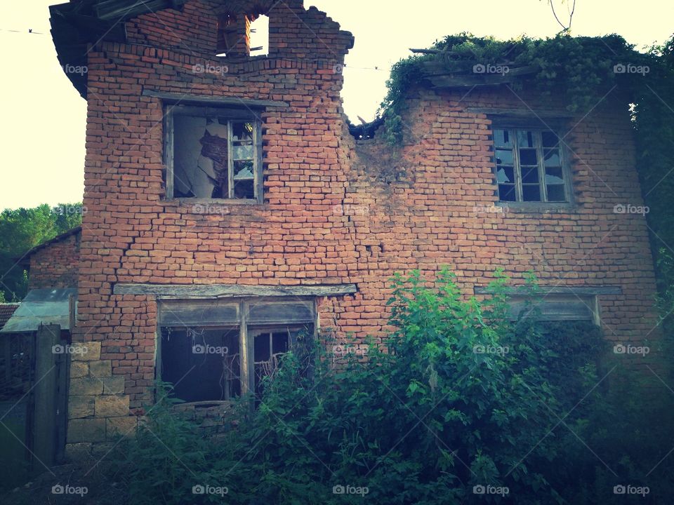 Nature remains abandoned house 
