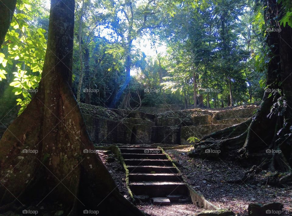 mystic stairs in the jungel of Palenque, Mexico