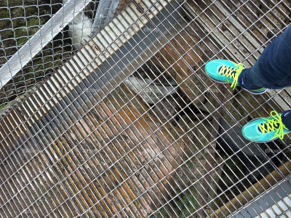 Courage is not the absence of fear but the acquired ability to move beyond fear.