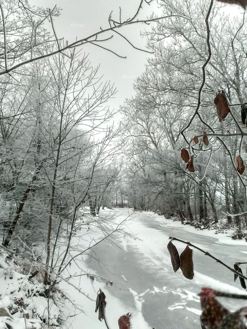 Frozen River