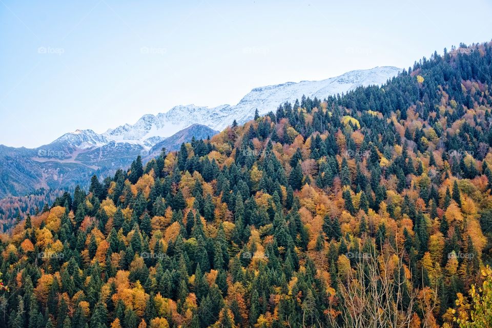Colorful autumn scene of mountain scape along the way in Georgia 