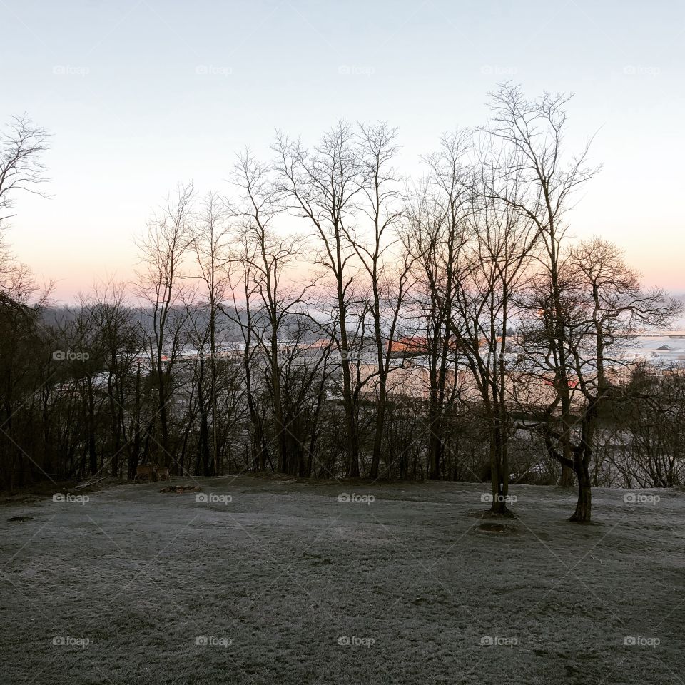 Frosty sunrise 
