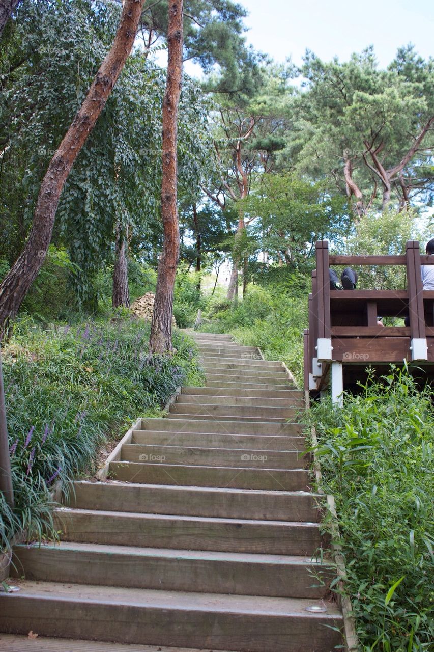 Hiking path in S Korea