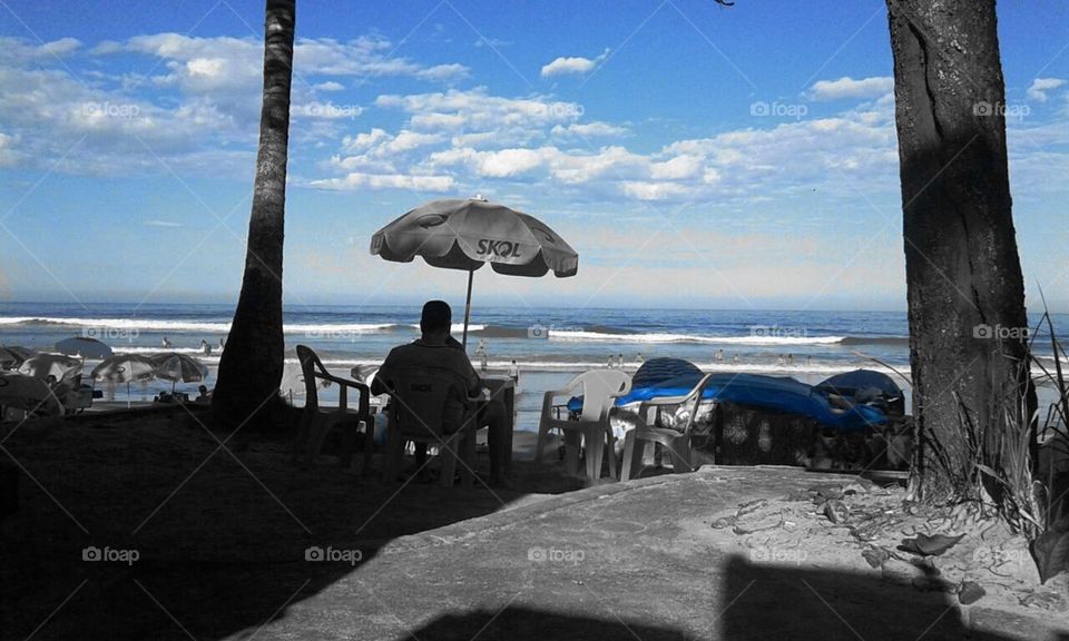 Um belo e saudável ambiente.