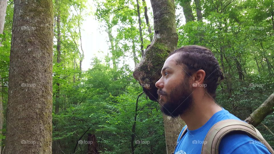 Congaree National Forest - That moment when you find your tree twin!