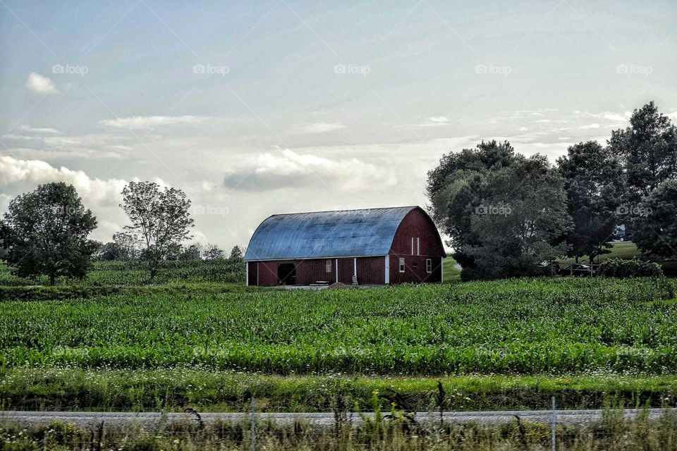 View of house in field