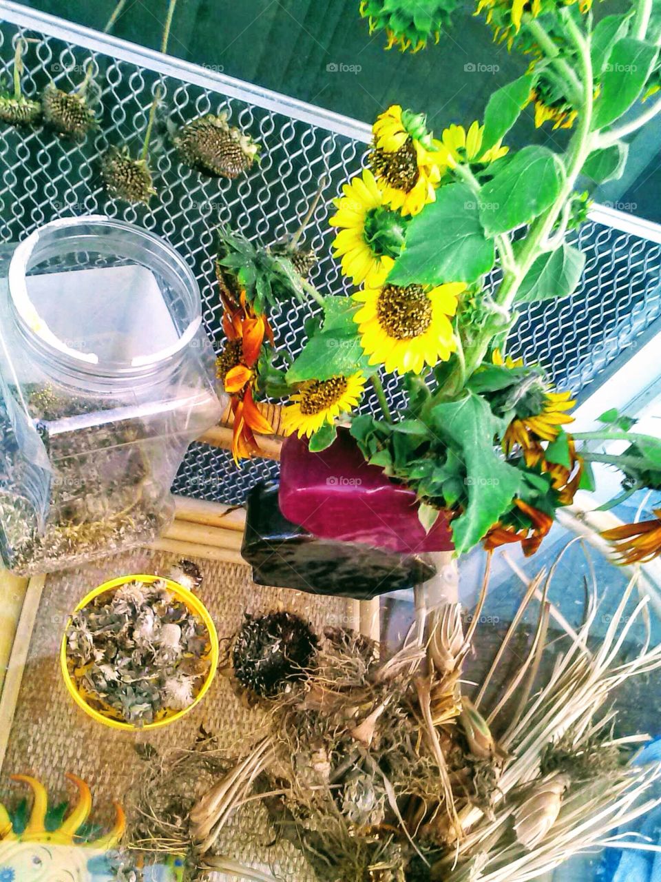 Summer Projects with Sunflowers