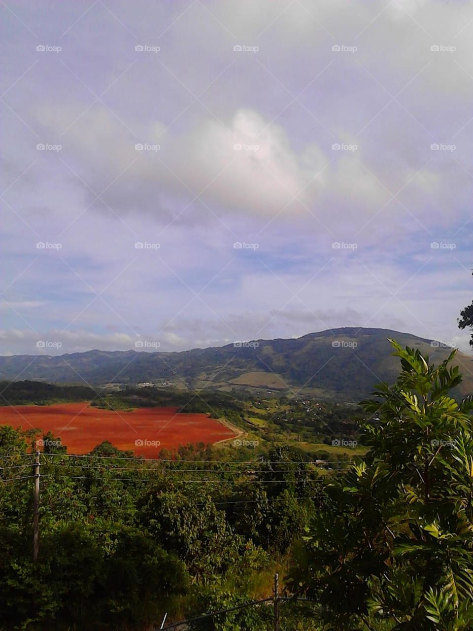 View with red dirt in the middle
