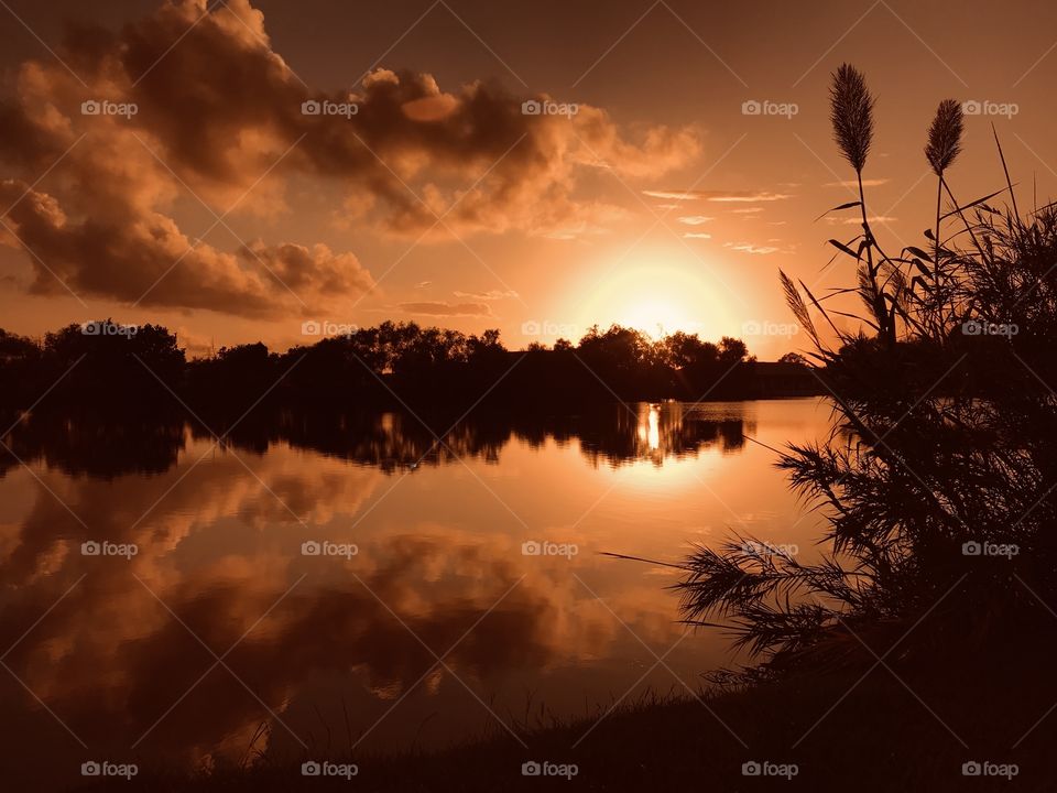A total Bright Sunset before Sundown. the Lake Waters were still bright Reflections against Lake Bed Foliage and Clouds. 