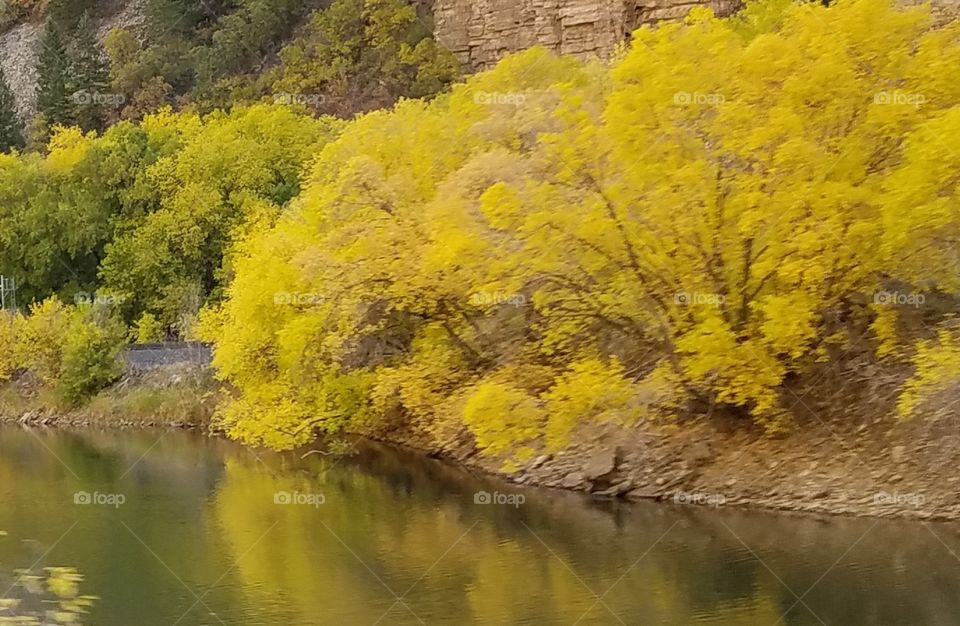 Beautiful river with reflections on water of fall trees