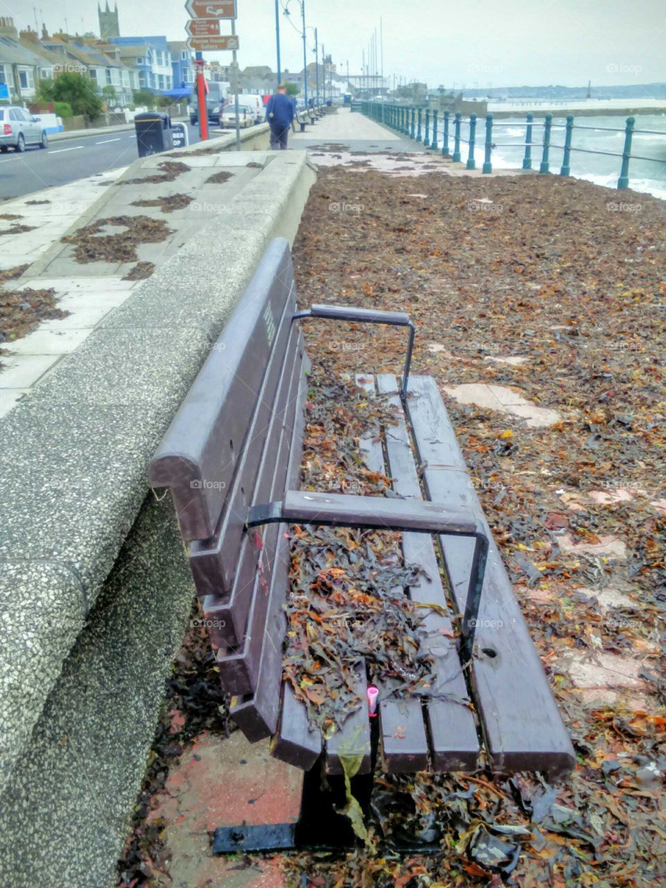 bench on Penzance promenade covers in seaweed after a winter storm