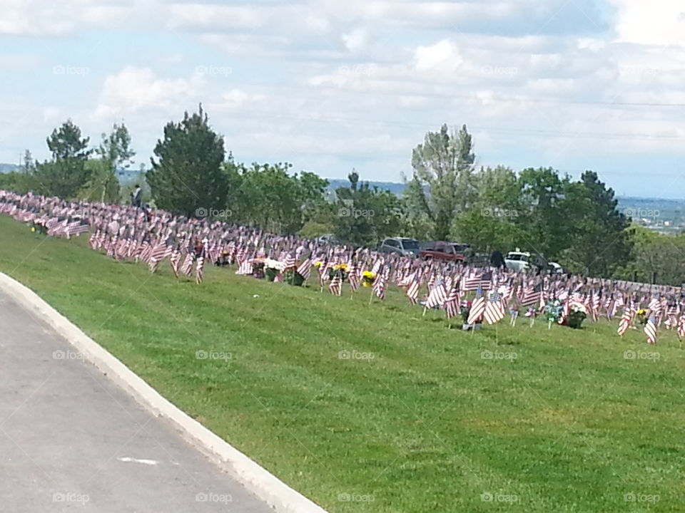 Military cemetary and American Flags