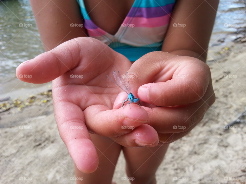 Dragonfly . Child Exploring at the lake 