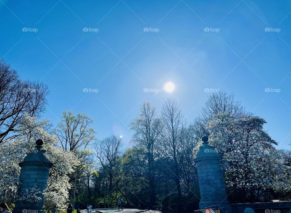 Gates to the park on a sunny afternoon. 