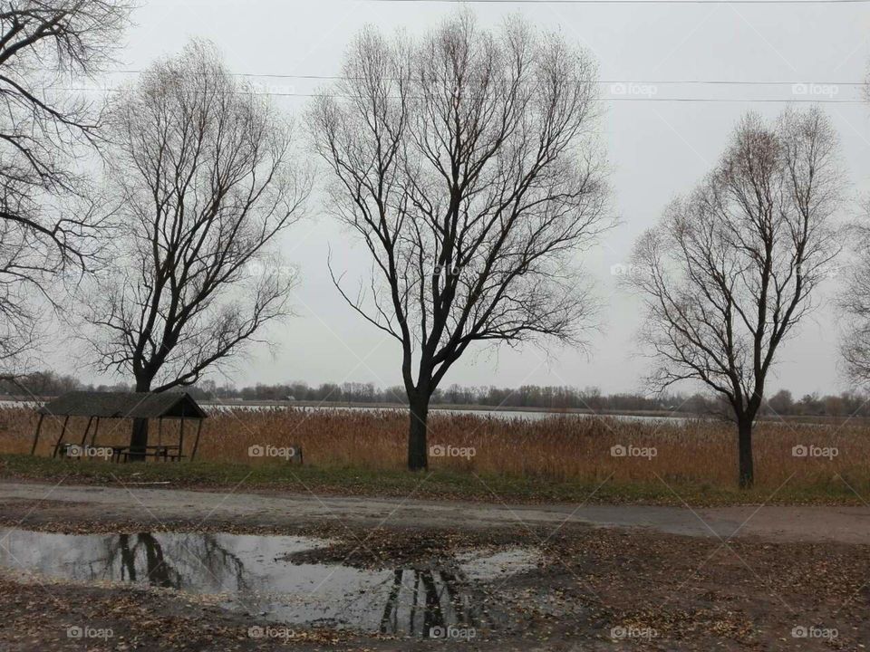 autumn landscape