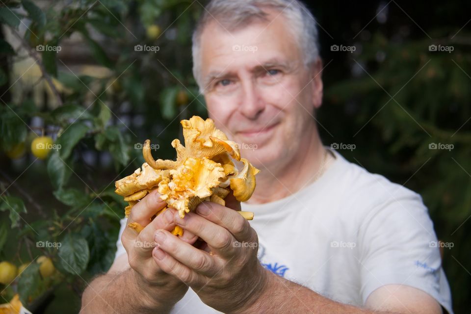 Chanterelles, mushrooms