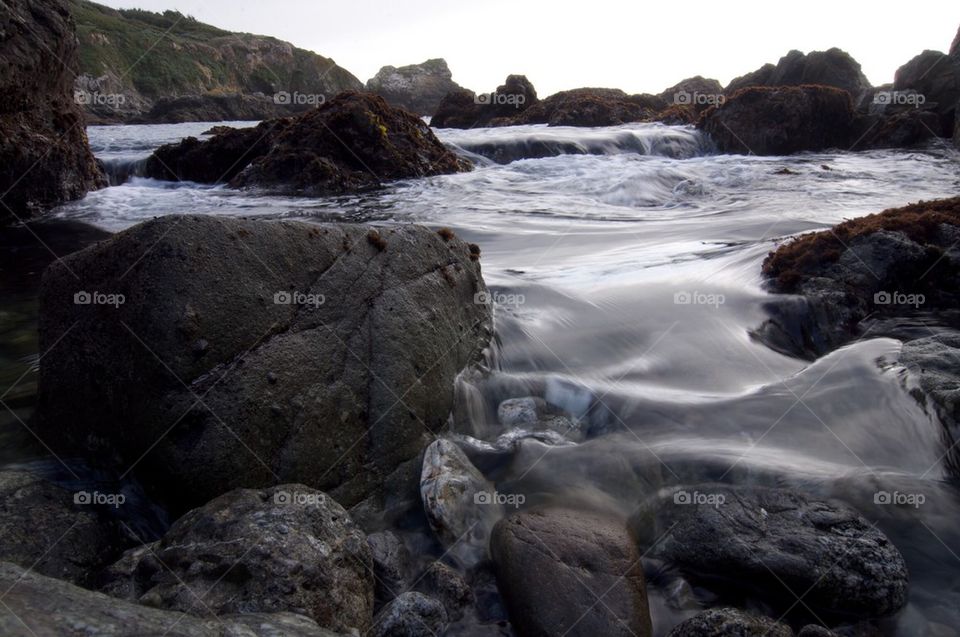 Tide pool motion