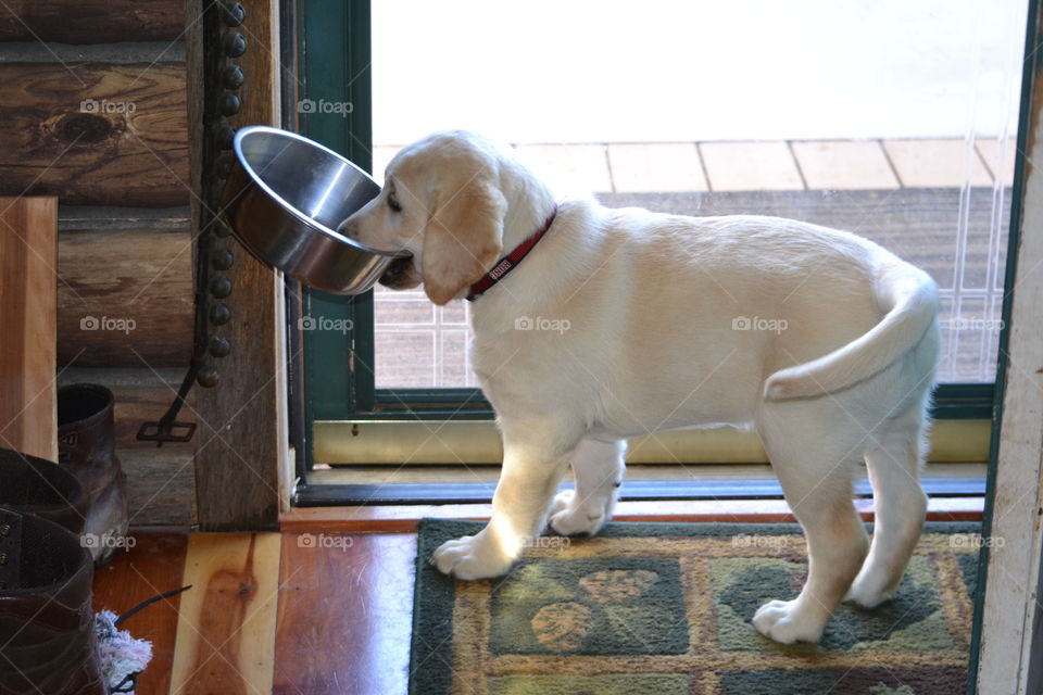 Here’s my bowl, Mom