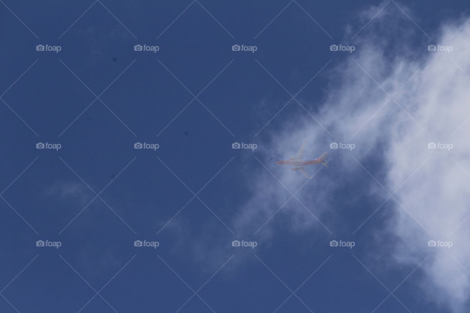 airplane in the clouds