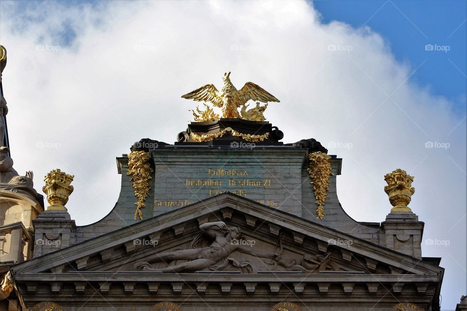 Eagle on the Roof